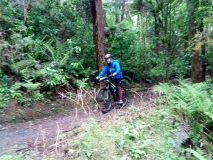 Jill Waikato Trail